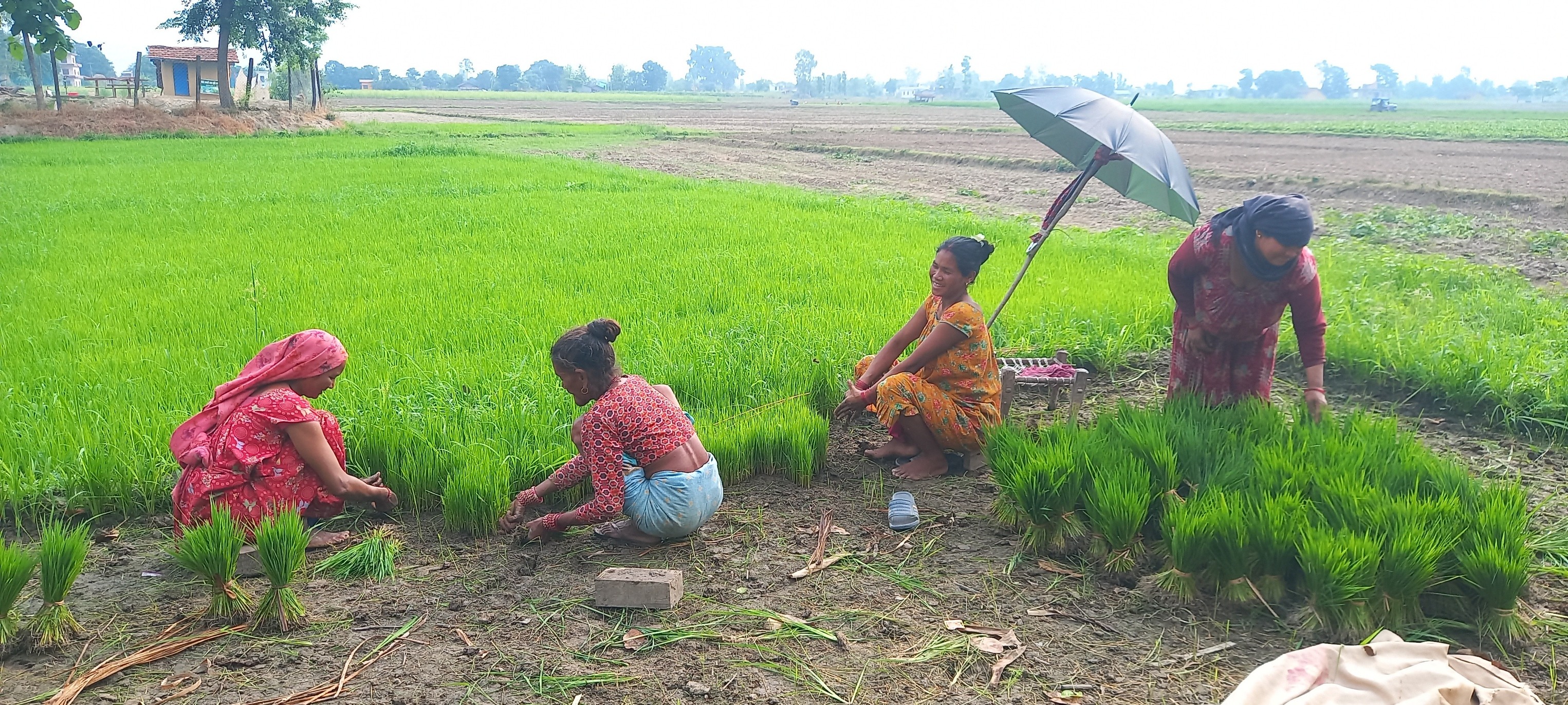 पच्छिवैसे उमरल कारि रि बडरिया रे